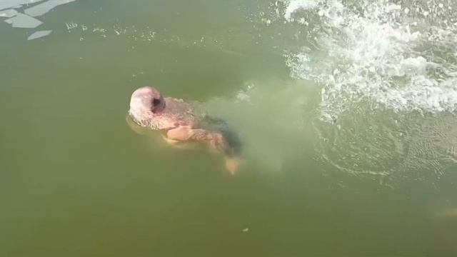 все в прорубь.mp4