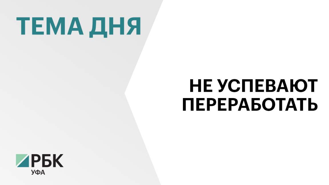 В Башкортостане на 13% сократят площадь посевов сахарной свёклы, до 50 тыс. га в 2025 г.