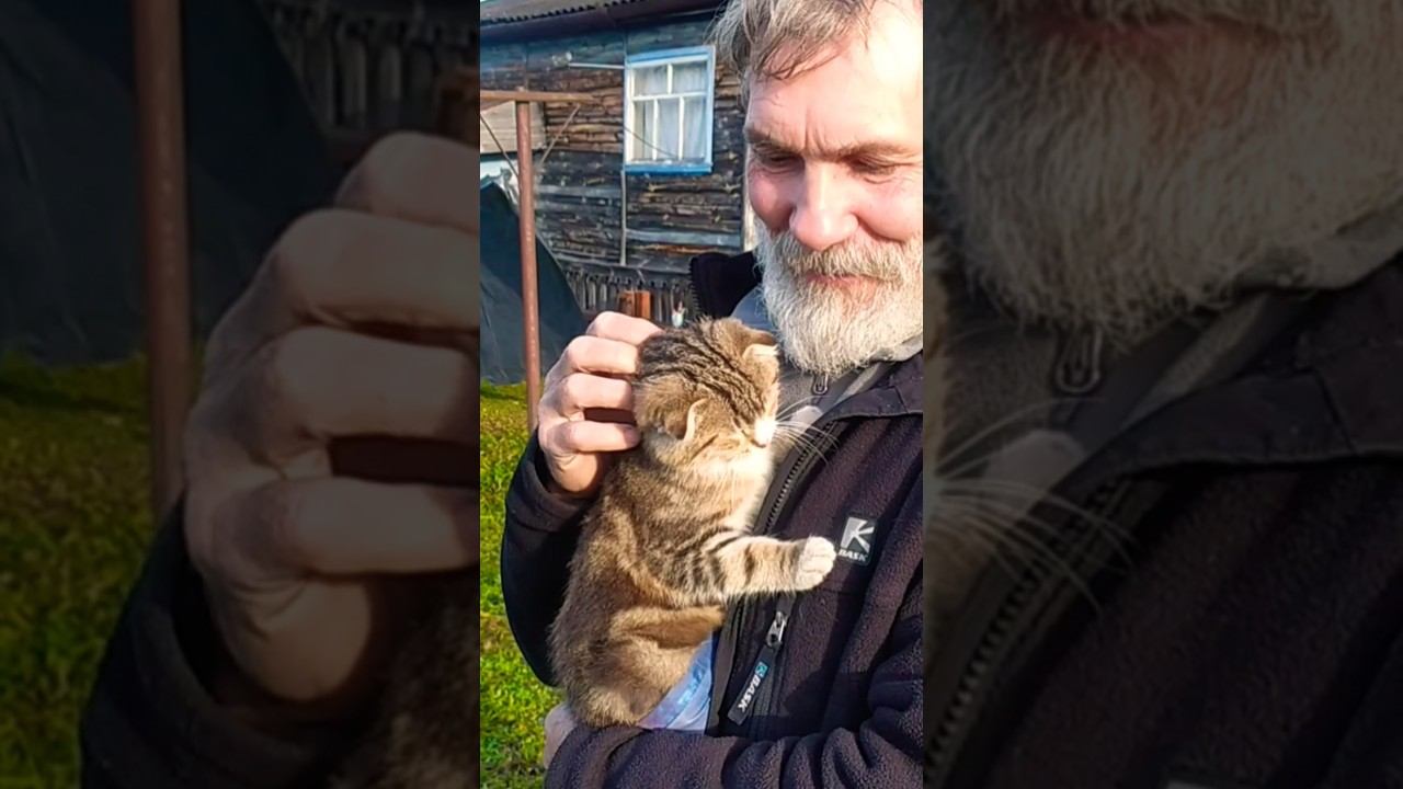 Полосатенький котятка