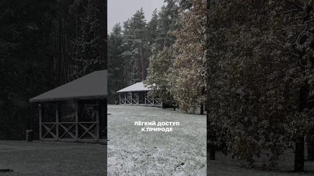 А какие вещи делают вашу загородную жизнь ещё счастливее? 🏡💚