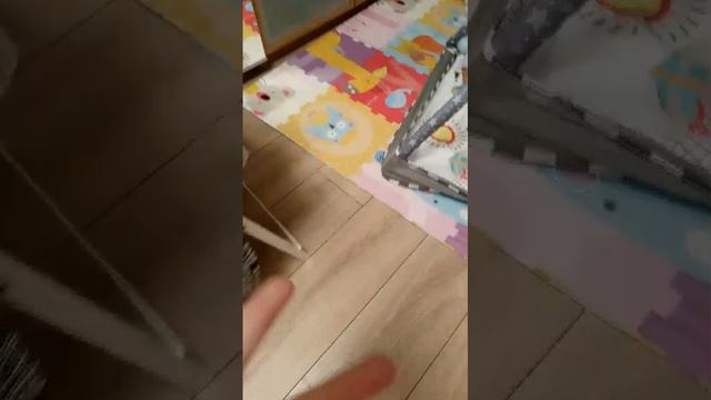 любимое место кота
