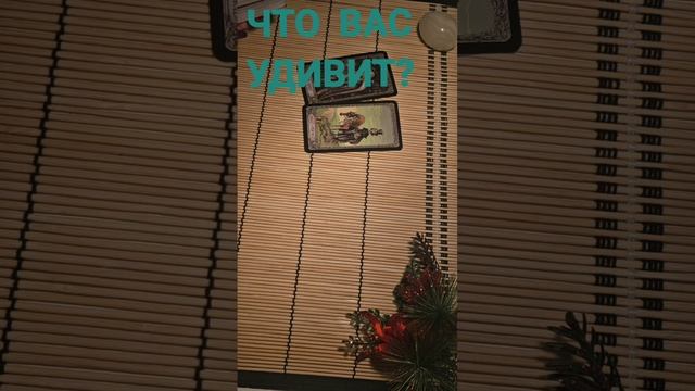 ЧТО ВАС УДИВИТ ?