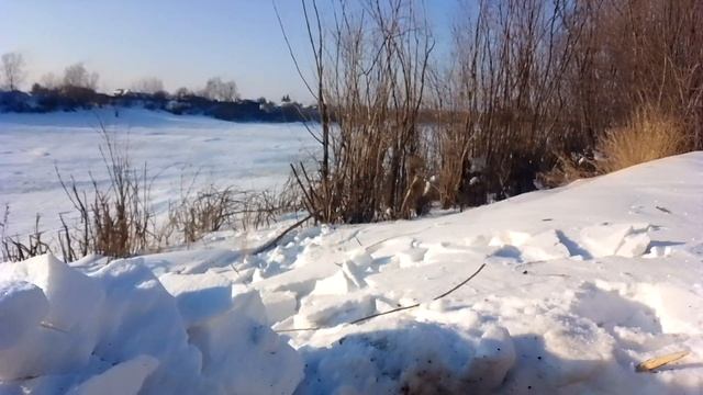 Природа 2025 Приготовил чай