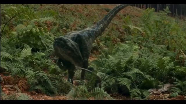 Beta the Baby Velociraptor’s Adorable Screen Time from Jurassic World: Dominion Part 12