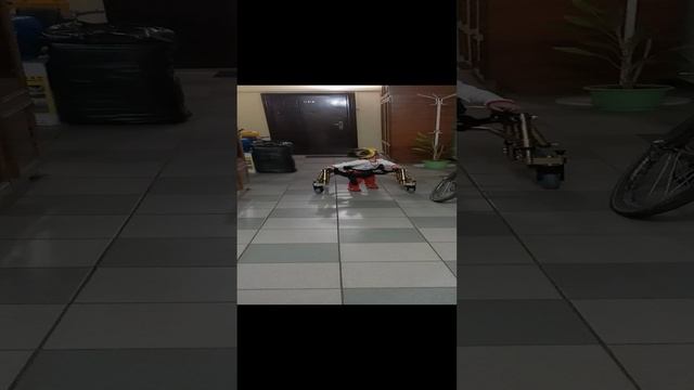 в ходунках