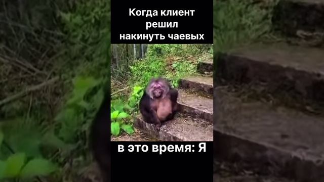 клиент дает чаевые - я