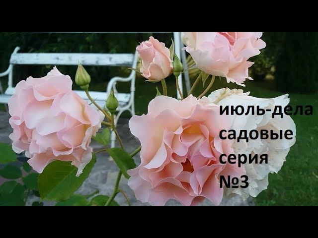 Июль - дела садовые серия №3