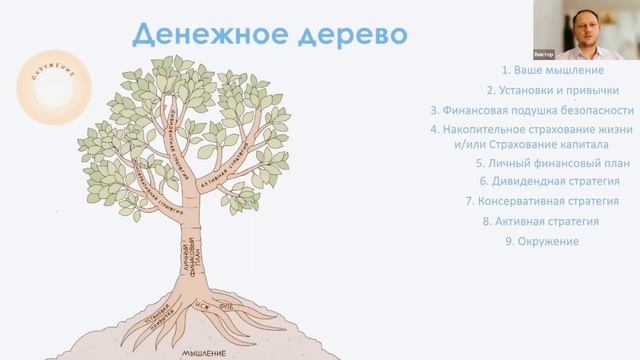 Три шага из хаоса к финансовому плану и стабильному доходу. Концепция Денежного Дерева