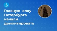 Главную новогоднюю елку Санкт-Петербурга начали разбирать