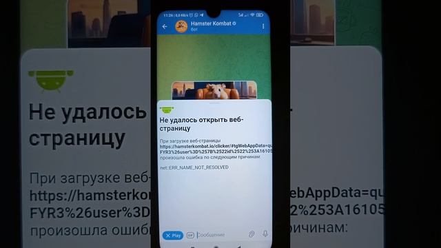 ХОМЯК ЧТО СЛУЧИЛОСЬ! СКАМ ИЛИ НЕТ!