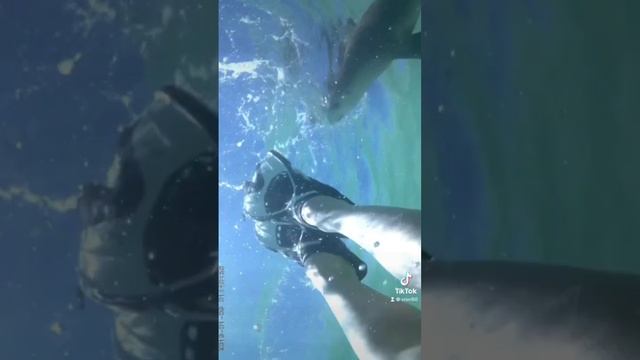 Swimming with Sea lions in Western Australia