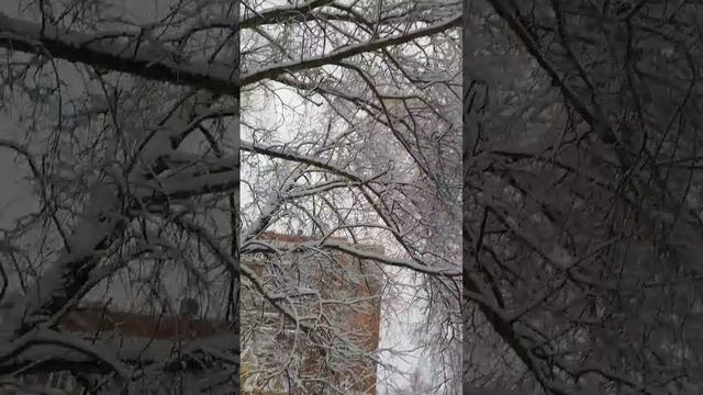 scene_output.mp4