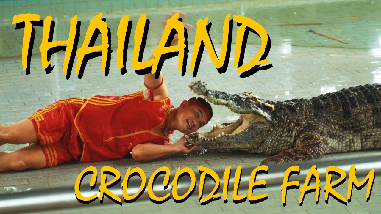 PATTAYA CROCODILE FARM - THAILAND (ПАТТАЙЯ - КРОКОДИЛОВАЯ ФЕРМА) 18+