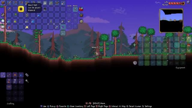 Terraria # 1 with Neo