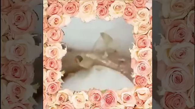 ВЫДАВЛИВАНИЕ ПРЫЩЕЙ ЧИСТКА КОЖИ💥💥