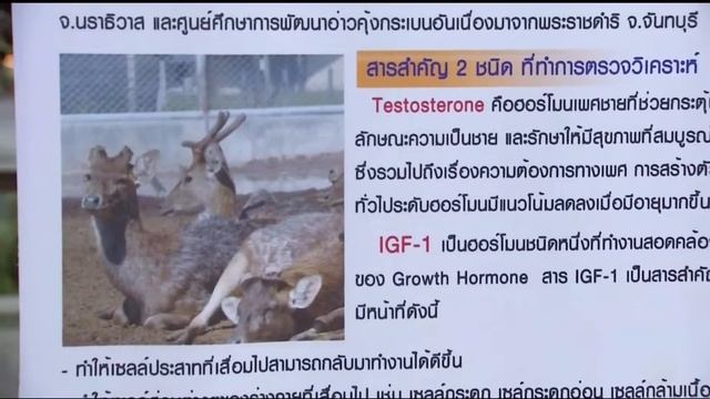 ♚ 21FEB19 泰国王室每日新闻 Daily News of Thai Royal Family ข่าวในพระราชสำนัก ๒๑ ก․พ․๖๒「1 ∕ 2」