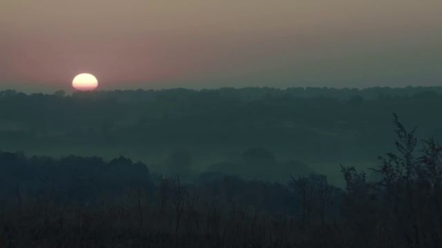 Бородино
Стихи: Михаил Лермонтов
Видео взято из передачи"Российское военно-историческое общество"