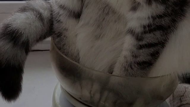 ДЮША НА СКОЛЬЗКОЙ ДОРОЖКЕ, НЮСЬКА ОТСТОЯЛА ВЕСЫ.(в начале и конце гармошка)