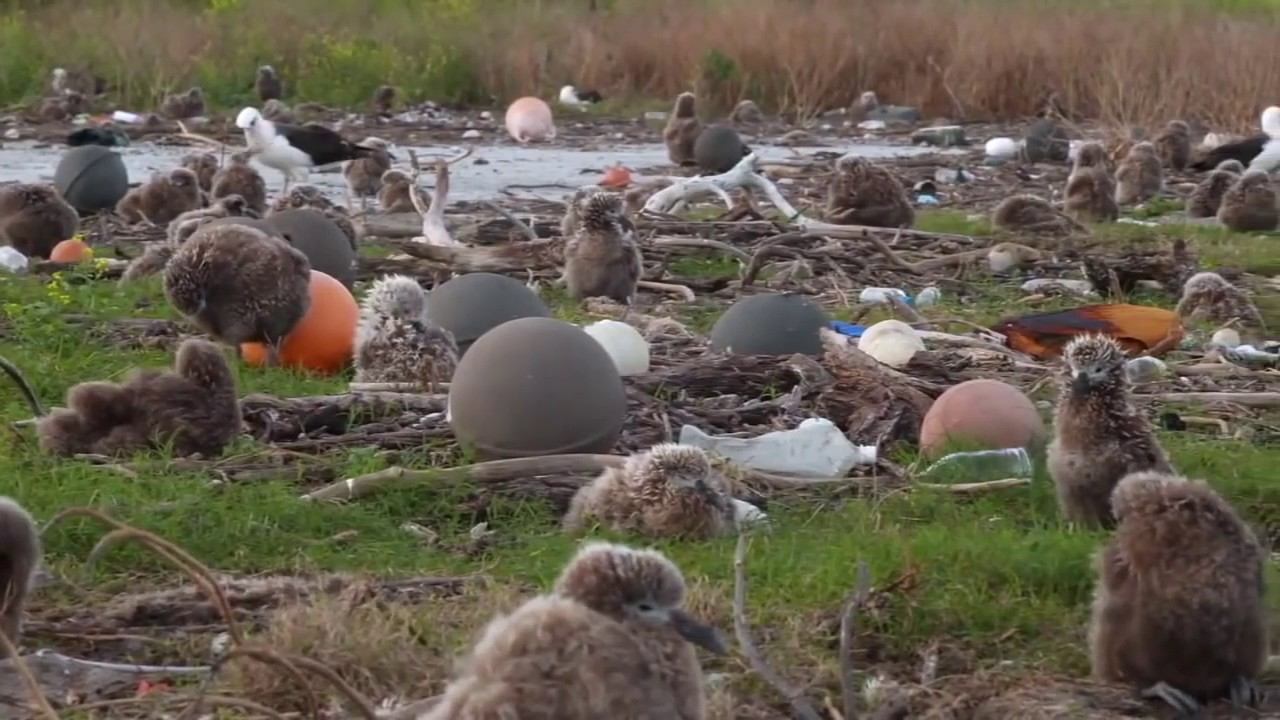 Что творится на острове, находящемся посреди Тихого Океана