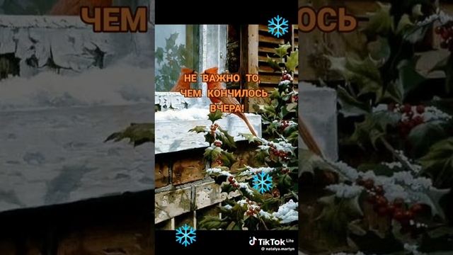 ccd18c159cc48f6621197f0a023072a7_1736910716157.mp4