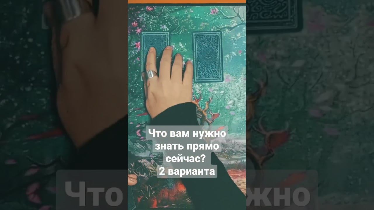 Что вам нужно знать прямо сейчас? 2 варианта.