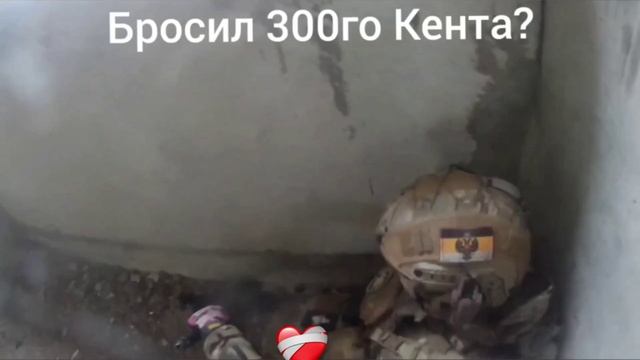 Эдит "кент 300"