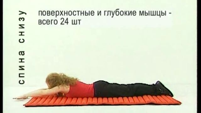 Формула гармонии плюс. Измени себя.mp4