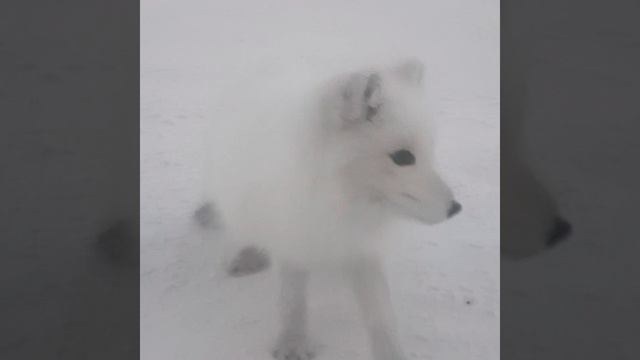 11 ОкТяБря 2024г..mp4