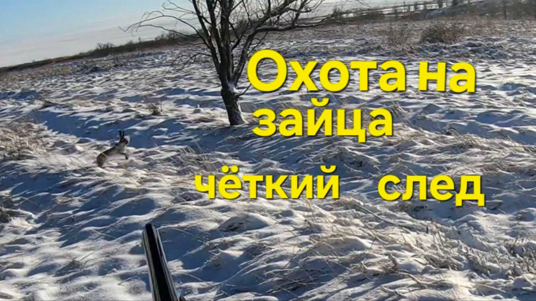 Охота на зайца Короткий  След