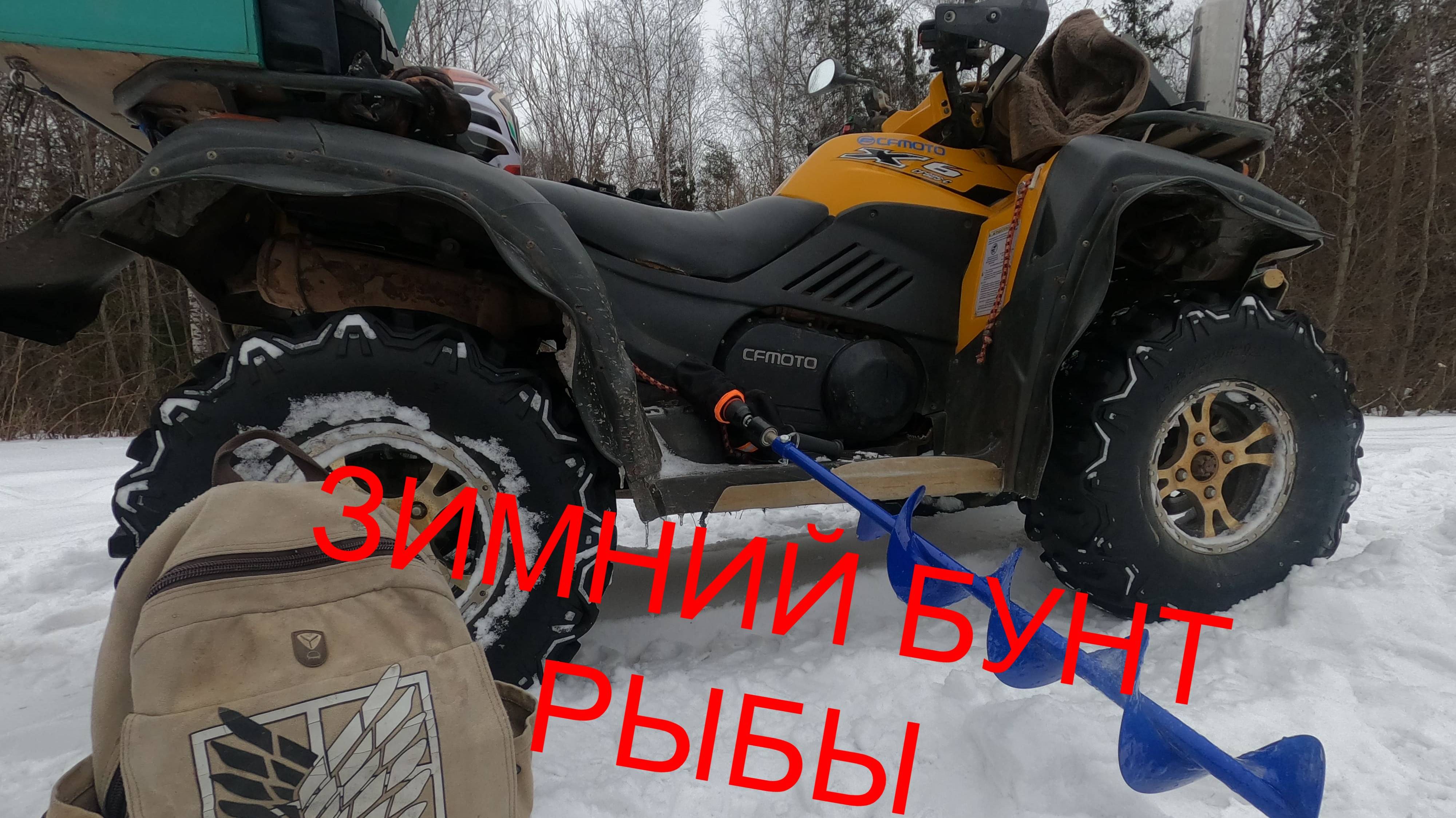 ЗИМНЯЯ РЫБАЛКА - 2025 . Где искать окуня ? Подводная съёмка .