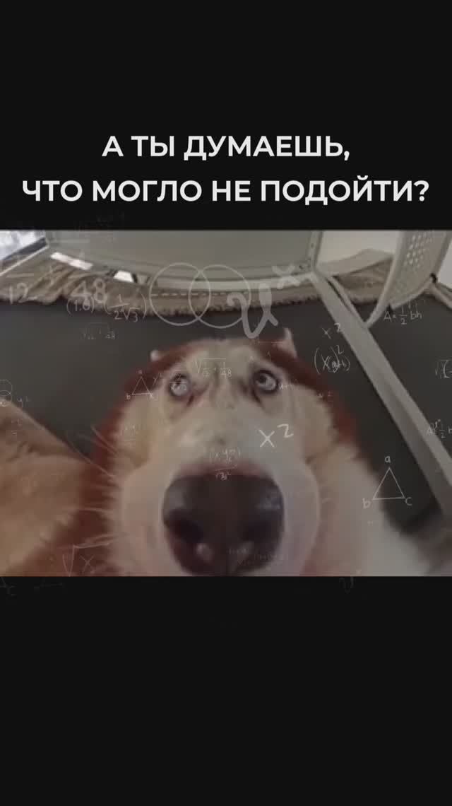 Когда звонит клиент купивший много запчастей у тебя в авторазборе