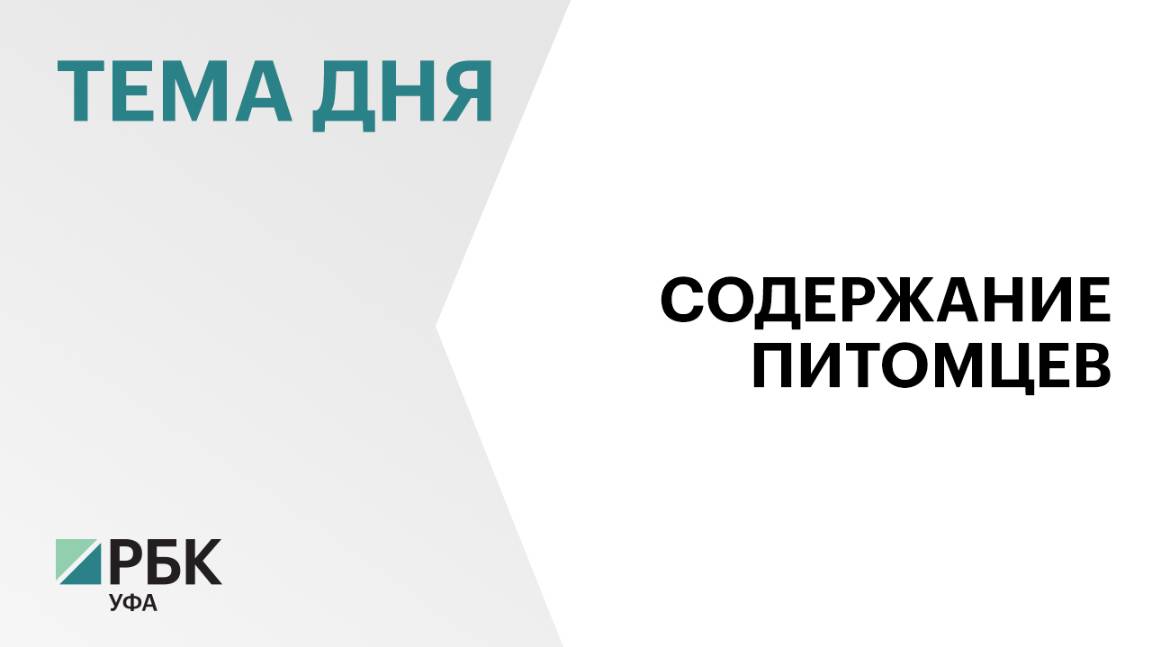 Жителям Башкортостана разъяснят новые требования к содержанию кошек и собак на брифинге