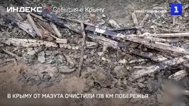 В Крыму от мазута очистили 178 км побережья