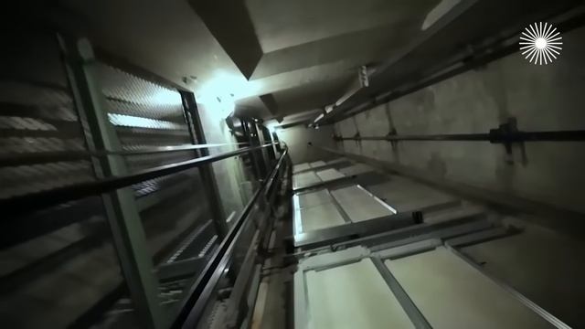 Приговорён на 20 лет