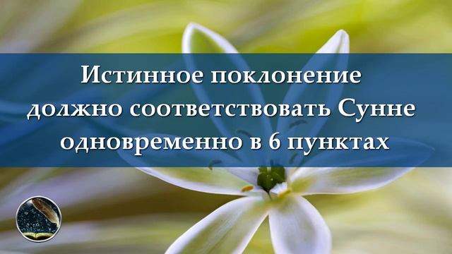 Истинное поклонение должно соответствовать Сунне одновременно в 6 пунктах | Марат абу Зарр