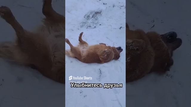 хорошего настроения в ленту от красотки хитропопой