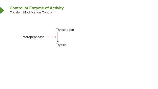 01. Metabolic Control of Enzyme Activity