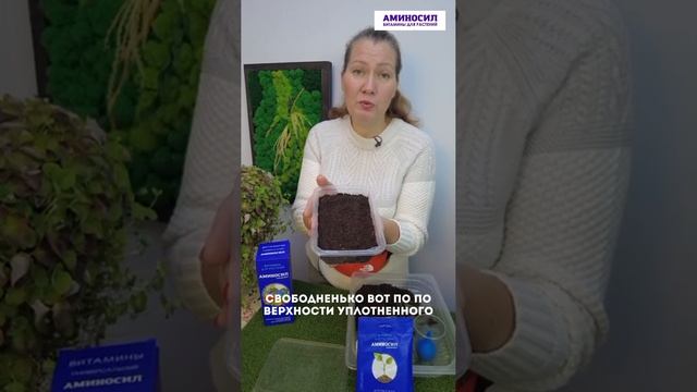 Сегодня поговорим с вами об особенностях посева ремонтантной земляники сорта  «Чаровница»🍓