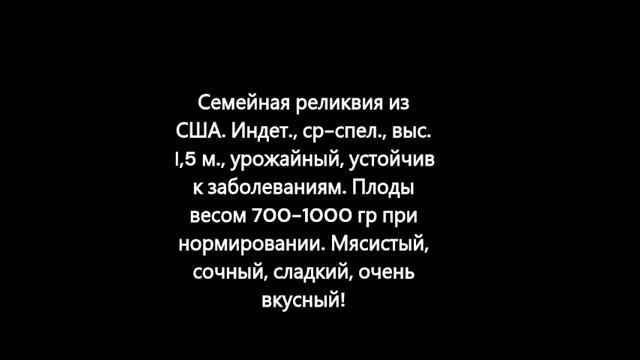 Каталог томатов 2024 г. Часть 9. г. Киров