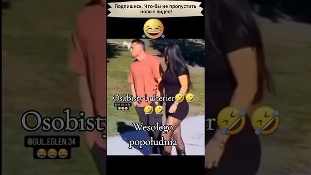 Прикол