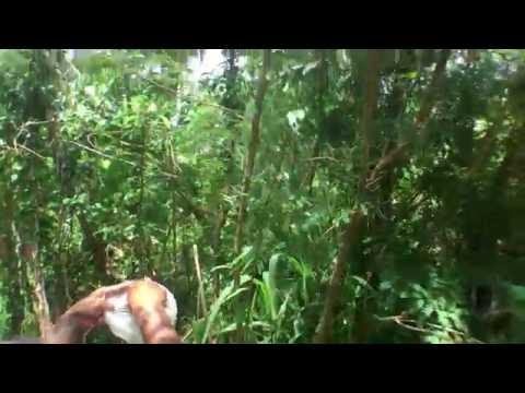 Thailand'2016 · Green smoothie from garden by Teep @ Phuket (Rawai)