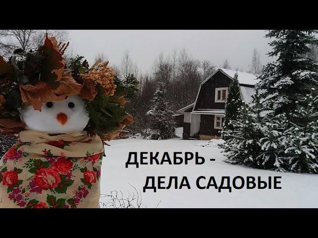 Декабрь - дела садовые.