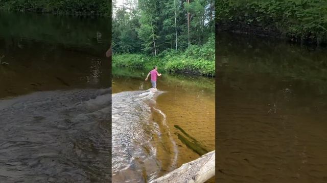 Река сельменьга