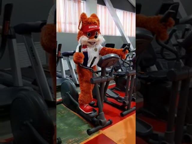 Лисенок