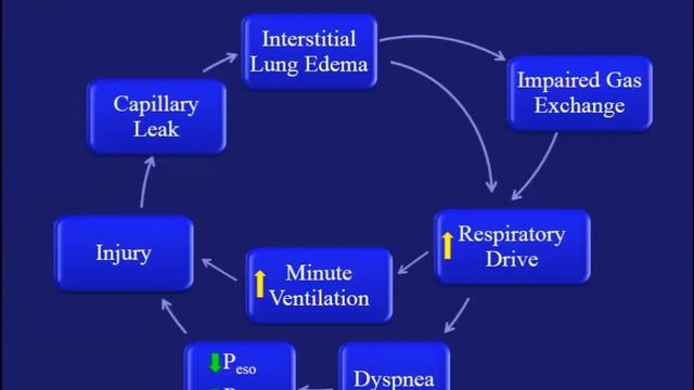 How to assess respiratory mech and patient's effort in assisted MV 2016 Antonio Pesenti