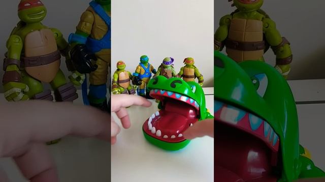 Alligator with Ninja Turtle whose missing?#shorts #shortvideo #asmr #shortsfeed #satisfying #ninja