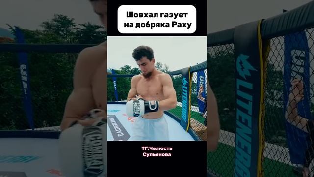 Шовхал Чурчаев vs Раха Андийский