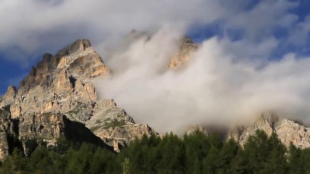 Арарат