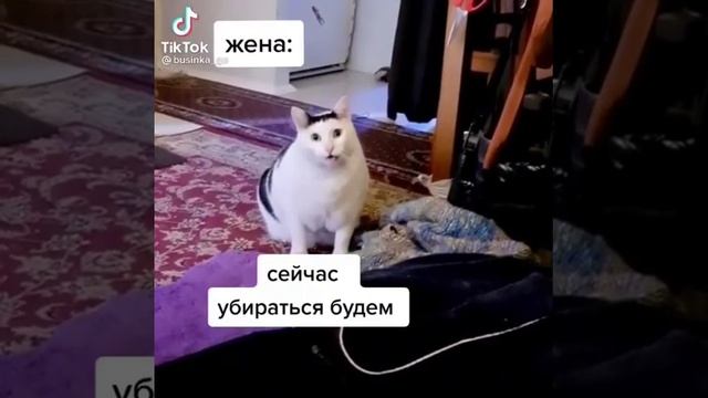 Когда проснулся утром в выходные