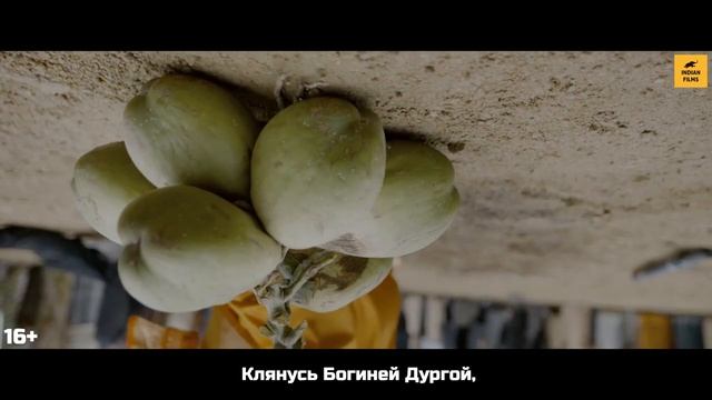 Хану Ман – Русский трейлер с субтитрами (2024)